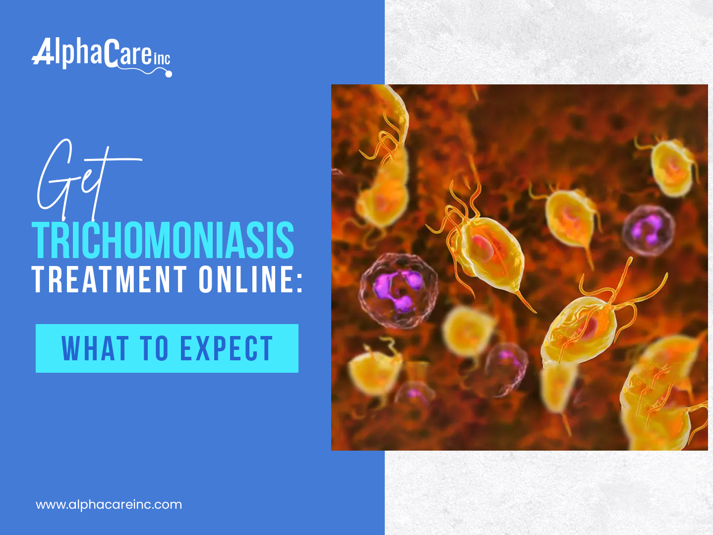 Get Trichomoniasis Treatment Online: What to Expect